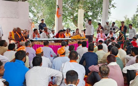 हरसोरा में भाजपा का अनुसूचित जाति का सम्मेलन आयोजित