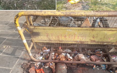 अधिकारियो की अनदेखी: प्रतापगढ़ नगर परिषद के हाल बेहाल, जहाँ देखो वहाँ गंदगी का अम्बार