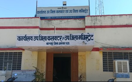 मतदाता सूची में नाम जुड़ाएं और वोट करें: वोटर हेल्पलाइन एप के माध्यम से आसानी से विधानसभा चुनाव में भाग लें