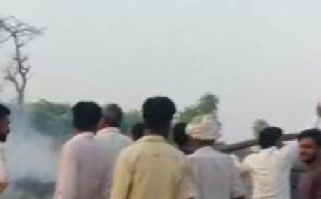 खेत मे आग लगने से 20 बीघा मक्का व ज्वार की फसल जलकर नष्ट:  किसानों को 4 लाख नुकसान