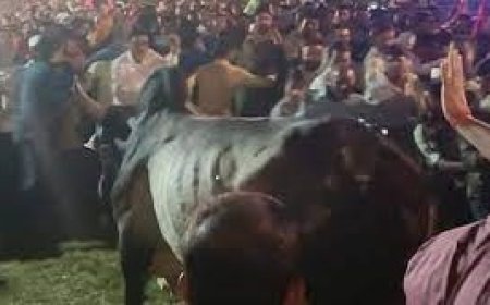 रावण दहन के दौरान राम दरबार की पूजा कर रहे थे केंद्रीय मंत्री: सुरक्षा व्यवस्था को तोड़ते हुए भीड़ में घुसे दो साड़, मची भगदड़