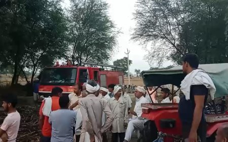 बलूपुरा में 5 कड़बी के कूंज  सहित बाजरे- सरसो की बोरी जलकर हुई राख