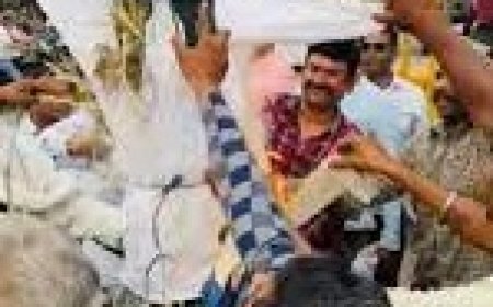 भाजपा प्रत्याशी विठ्ठल शंकर अवस्थी का पुतला फूंकने वाले भाजपा कार्यकर्ताओं पर केस दर्ज