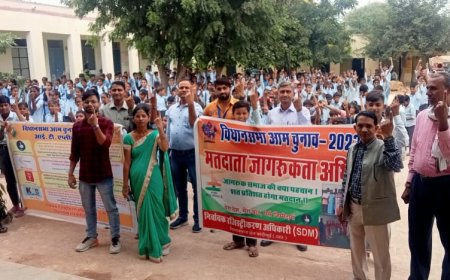 स्वीप टीम ने गांव में जाकर स्मार्ट क्लास के माध्यम सिविजिल ऐप तथा वोटर हेल्प लाइन ऐप की उपयोगिता को समझाया