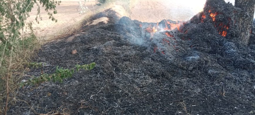 बयाना के गांव नगला झामरा में किसान की कड़ी मेहनत से पैदा की गई दो ट्राली कडबी चढ़ी आग की भेंट