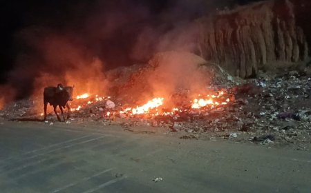 वायु की गुणवत्ता बनाए रखने के लिए कचरे का सही ढंग से निस्तारण जरुरी- मीना