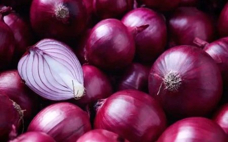 दो दिन में 15 रुपए प्रति किलो तक प्याज के भाव में गिरावट, आमजन को मिली राहत