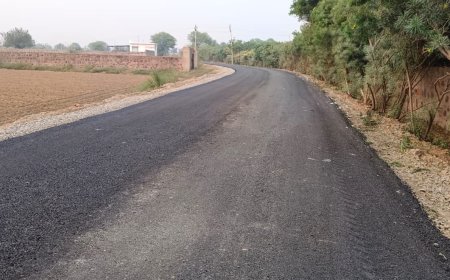 ठेकेदार ने दोबारा रोलिंग कर बनाई मुबारिकपुर - बीजवा सडक