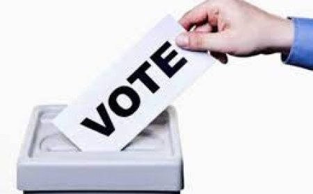 Rajasthan Assembly Election 2023:  डाक मत पत्र हेतु  6 नवम्वर तक जमा करना होगा फार्म -12