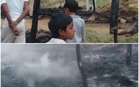 अज्ञात कारणों के चलते कच्चे घर में लगी आग, दो भैंस और बीस बकरियों की झुलसने से हुई मौत, प्रशासन पहुंचा मौके पर