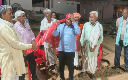 हिंगोटा गांव में हुआ डे-नाइट वॉलीबॉल प्रतियोगिता का शुभारंभ, खेलो से बढ़ता है आपसी भाईचारा-  मीणा