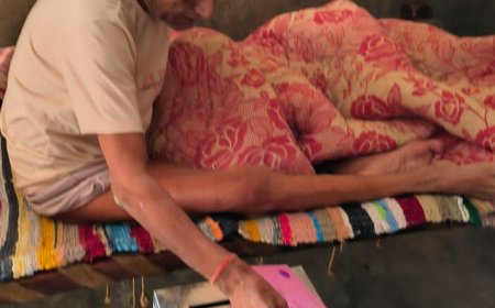 16 नवंबर गुरुवार को   सुमेरपुर के 230बुजुर्ग व दिव्यांग मतदाता करेंगे होम वोटिंग 