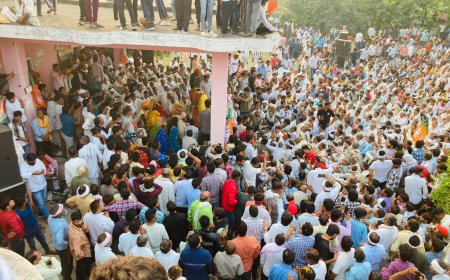 भाजपा स्टार प्रचारक किरोड़ीलाल मीणा ने भाजपा के प्रत्याशी राजेंद्र मीणा की पक्ष में बालाहेडी हुडला में किया जनसंपर्क