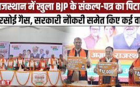 राजस्थान: बीजेपी का संकल्प-पत्र जारी: केजी से पीजी तक पढ़ाई फ्री, 450 रुपए में रसोई गैस