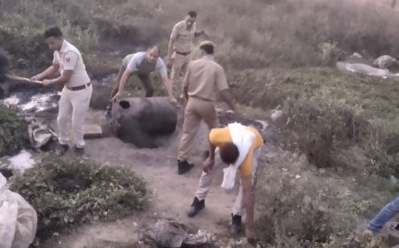 आचार संहिता में अब तक 9384706 रुपए की अंग्रेजी शराब जप्त की व 571375 रुपए की वाश करवाई नष्ट