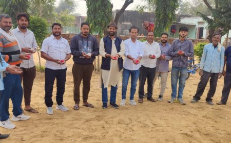 जल जंगल जमीन और मानवता की रक्षा के लिए कुर्बान हो गये मानगढ़ में शहीद हो गए हजारों आदिवासी:-मीणा -