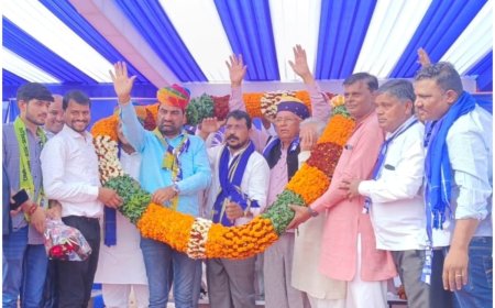 आसपा प्रत्याशी डॉ. रोहिताश शर्मा की जन सभा में उमड़ा  सर्वजातीय जन सैलाब