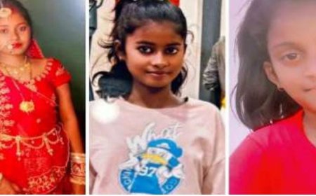 पत्नी और दो बेटियों की हथौड़े से वार कर की हत्या