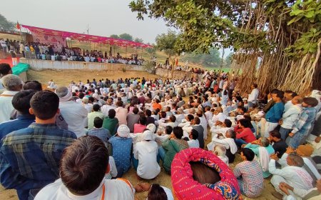 केंद्रीय मंत्री कृष्णपाल सिंह गुर्जर और डॉ किरोड़ीलाल मीणा ने बाबू महाराज के लगाई ढोक, फिर की जनसभा