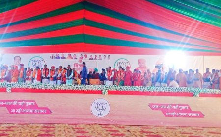 टपूकड़ा में भाजपा के तिजारा विधानसभा प्रत्याशी बाबा बालक नाथ की जनसभा का हुआ आयोजन: उत्तर प्रदेश के मुख्यमंत्री योगी ने जनसभा को किया संबोधित