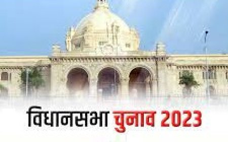20 हजार 442 मतदाता बढ़े लेकिन मतदान प्रतिशत में हुई गिरावट: शादी ब्याह का मौसम भी रहा मुख्य कारण