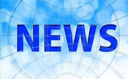 राजकीय उच्च माध्यमिक विद्यालय संगरणा में  किया गया निपुण मेले का आयोजन