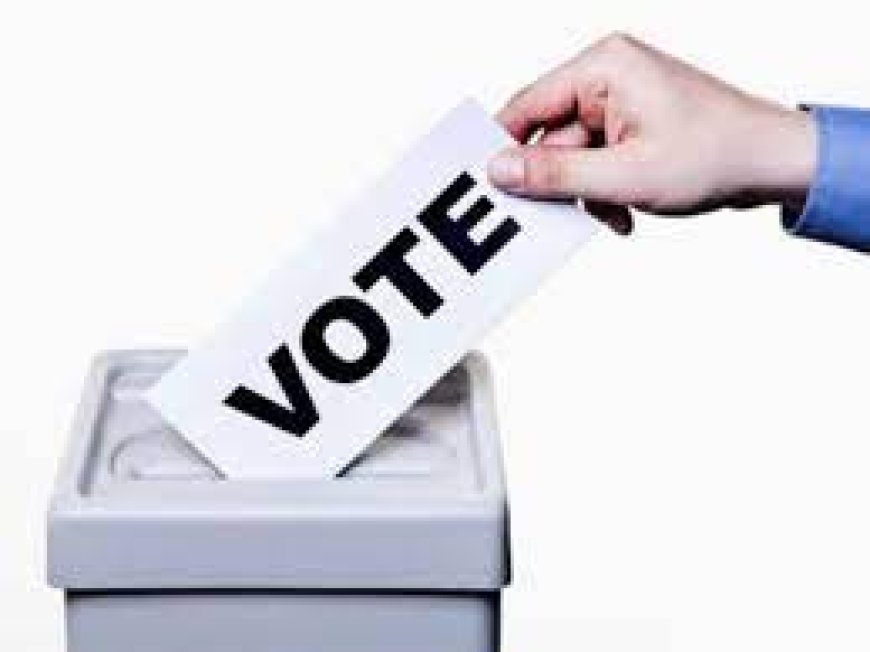 Rajasthan Assembly Election 2023:  डाक मत पत्र हेतु  6 नवम्वर तक जमा करना होगा फार्म -12