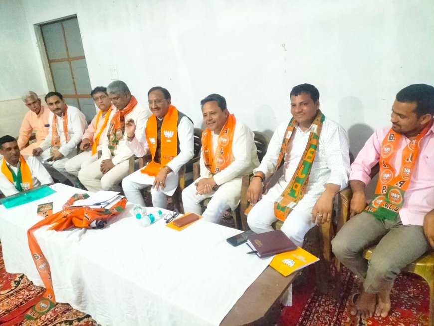भारतीय जनता पार्टी की समन्वय समिति की हुई बैठक, मंडल अध्यक्ष नरेंद्र चौधरी ने की अध्यक्षता