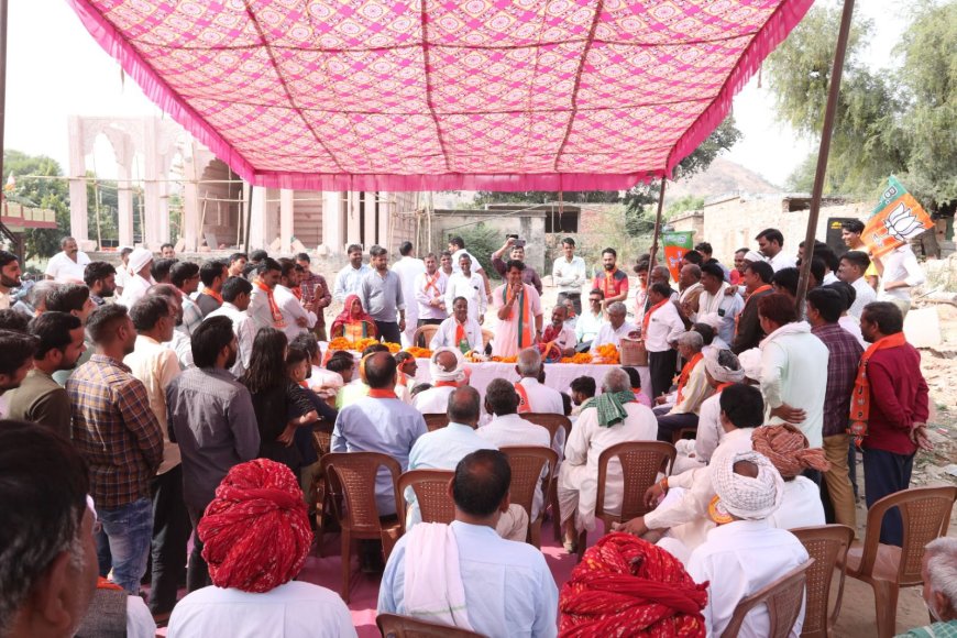 भाजपा प्रत्याशी रामलाल शर्मा ने 12 ग्राम पंचायतों में किया जनसंपर्क:  गाँवों से मिल रहा अपार समर्थन