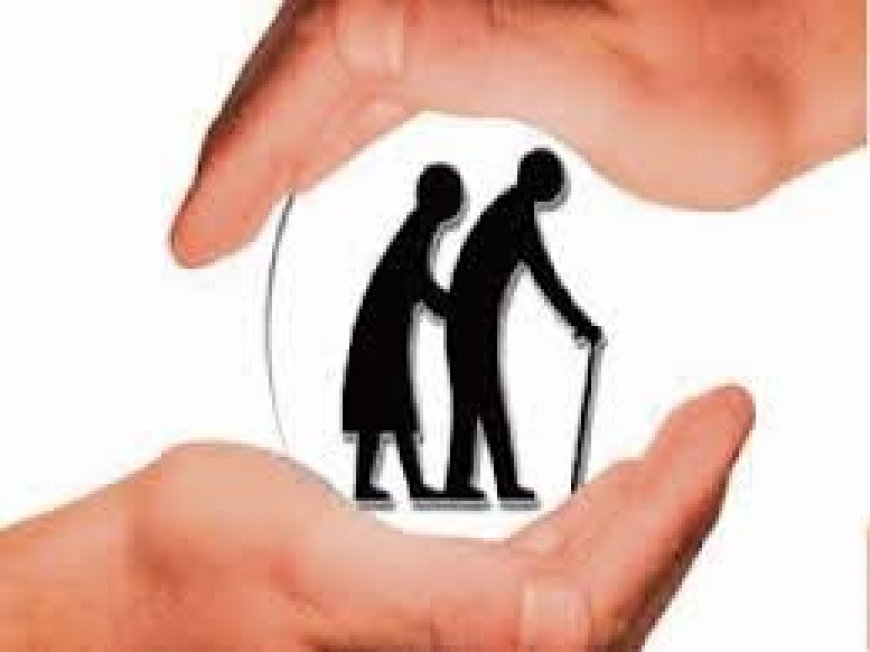पीपीओ नंबर में डेटा मिलान नहीं होने से बुजुर्ग और दिव्यांग परेशान: पेंशन सत्यापन के लिए भटक रहे दरबदर