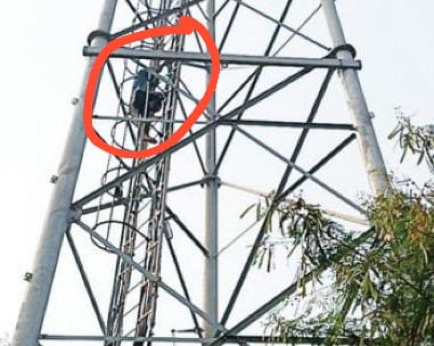 ससुराल और पति से खफा प्रेमी के साथ रहने महिला चढ़ी की जिद्द पर अड़ी महिला मोबाईल टावर पर चढ़ी
