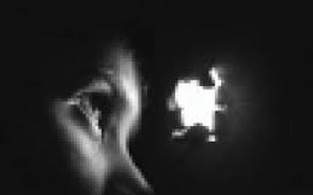 कस्बे में रोजाना हो रही अपराधों में वृद्धि: किराएदारों का मकान मालिक नहीं करा रहे सत्यापन