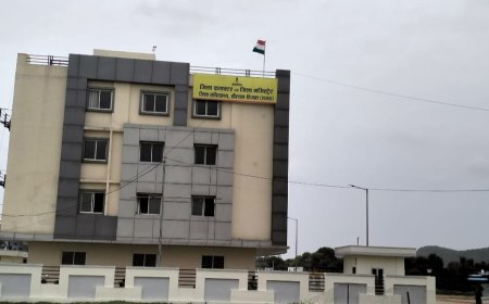जिला कलेक्टर ने पानी, बिजली, मौसमी बीमारियों को लेकर की समीक्षा बैठक