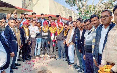 अभिभाषक संघ लक्ष्मणगढ़ के रतन सिंह राजपूत बने अध्यक्ष