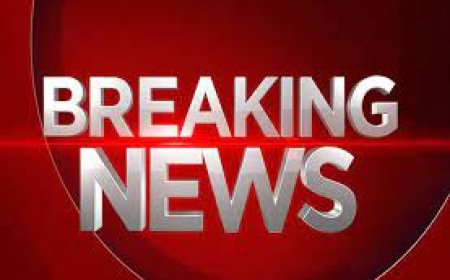 बीती रात्रि को अज्ञात वाहन की चपेट से मादा जरख की मौत