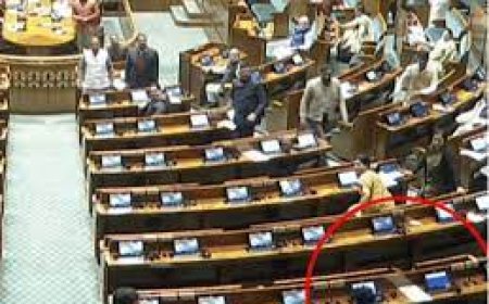 संसद हमले की 22वीं बरसी पर सुरक्षा में चूक: संसद में 2लोग विजिटर्स गैलरी से कूदे, किया हंगामा