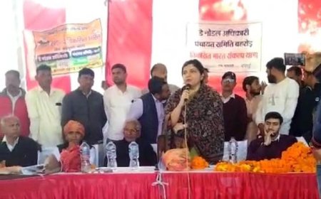 जिला कलेक्टर शुभम चौधरी ने  विकसित भारत संकल्प यात्रा शिविर का  किया निरीक्षण