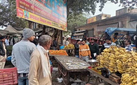 तिजारा नगर परिषद क्षेत्र में अतिक्रमण हटाओ अभियान शुरू