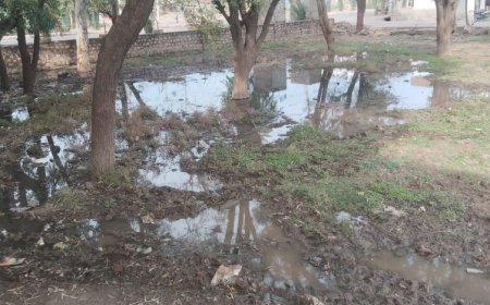 नाले  का गंदा पानी स्कूल परिसर  में, नाक पर रुमाल रखकर  बच्चे पढ़ने को मजबूर