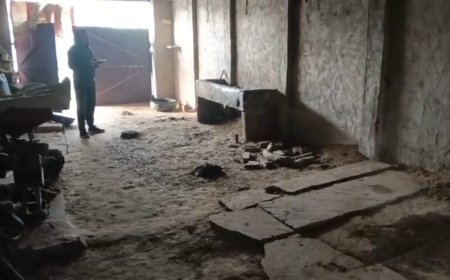 खेरली थाना क्षेत्र मे पशुओं के बाड़े में बंधी तीन भैंसों और उनके पाड़ों को अज्ञात चोर चोरी कर ले गए