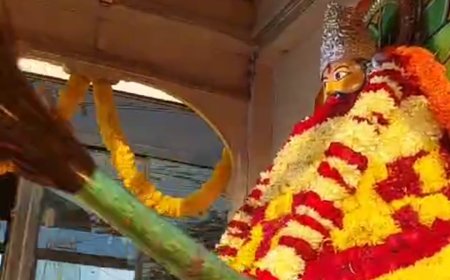 तिजारा में श्री श्याम महोत्सव धूमधाम से मनाया