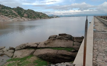 बलवना नहर में गिरे युवक की तलाशी के लिए बंद रहेगी जवाई नहर बंद