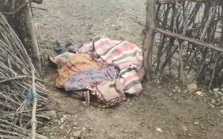 करंट लगने से खेत मालिक व सिंजारी की मौत, विधायक ने कलेक्टर से की मुआवजे की मांग