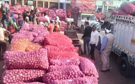 प्याज के भावों में आई गिरावट से किसान निराश:  थोक में 4 से 13 रुपए प्रति किलो रहे भाव
