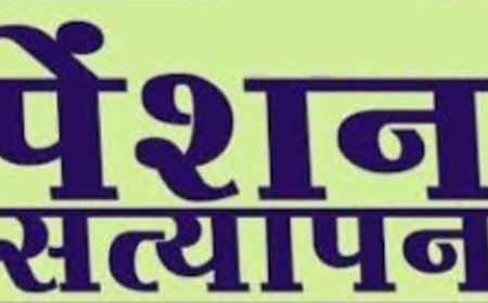 पेंशनरों को 31 दिसंबर तक करवाना होगा भौतिक सत्यापन :सामाजिक सुरक्षा योजना से जुड़े पेंशनर्स का भौतिक सत्यापन जरूरी