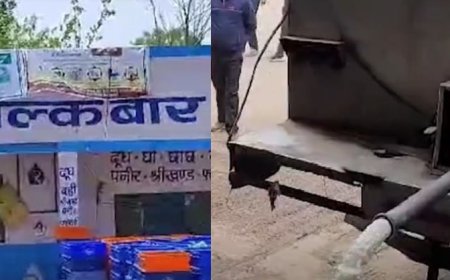 अलवर सरस डेयरी में मिलावटी दूध पकड़ा:तेल की मात्रा अधिक मिली, 21 हजार लीटर दूध कराया नष्ट