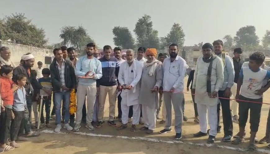 अलावड़ा में 29वीं क्रिकेट प्रतियोगिता का आयोजन:खेल को खेल की भावना से ही खेलने से बढता है भाईचारा