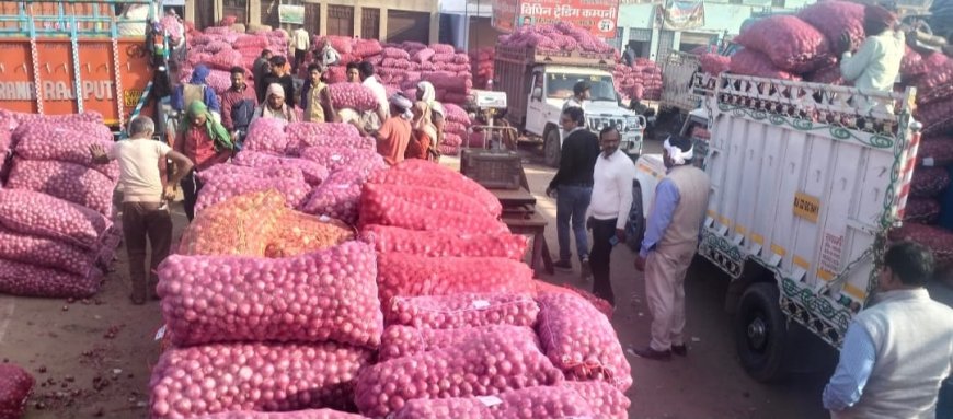 प्याज के भावों में आई गिरावट से किसान निराश:  थोक में 4 से 13 रुपए प्रति किलो रहे भाव