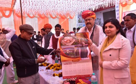 जिला कलक्टर और विधायकों ने किया विकसित भारत संकल्प यात्रा के शिविरों का निरीक्षण