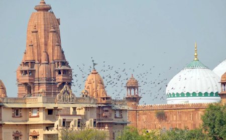 मथुरा शाही ईदगाह परिसर में सर्वेक्षण की अनुमति के खिलाफ उच्चतम न्यायालय पहुंची मस्जिद समिति